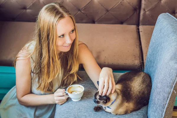 Young Woman Drinking Coffee Stroking Cat — Stock Photo, Image