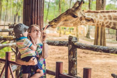 Mutlu anne ve izlemek ve hayvanat bahçesinde zürafa besleme oğlu. Mutlu aile ile hayvan safari Parkı'sıcak yaz gününde eğleniyor.