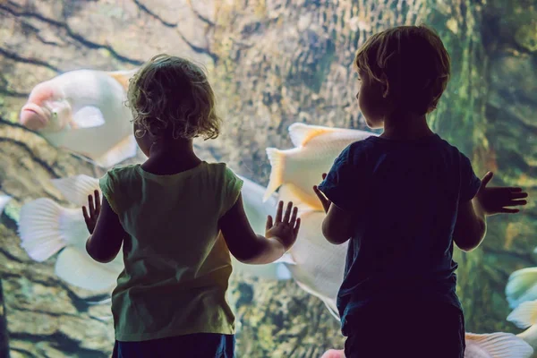Küçük erkek ve kız büyük deniz hayat tankı tropikal mercan balık izliyor. Çocuklar Hayvanat Bahçesi akvaryumda — Stok fotoğraf