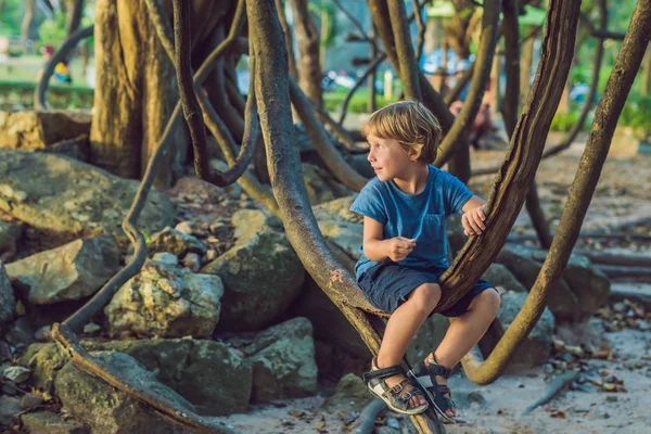 Menino Assistindo Lianas Tropicais Florestas Tropicais Molhadas — Fotografia de Stock