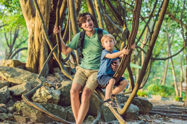 Padre Figlio Guardare Liane Tropicali Nelle Foreste Tropicali Umide — Foto Stock