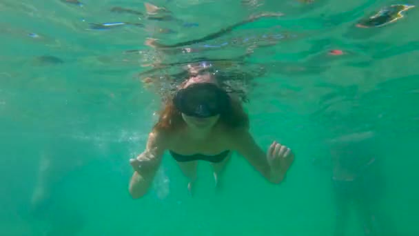 Slowmotion záběr mladé ženy šnorchlování a baví v moři — Stock video