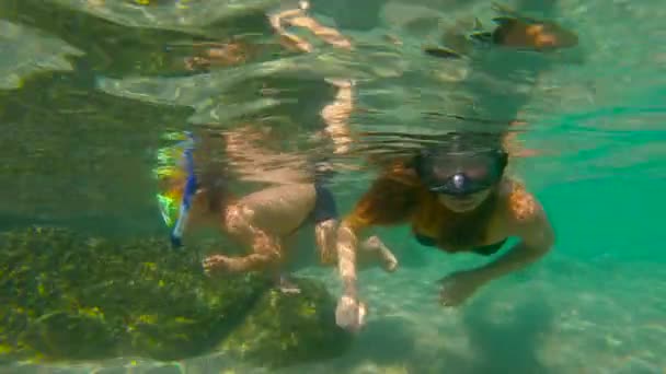 Slowmotion tiro de uma jovem mulher e seu filho pequeno snorkeling em um mar — Vídeo de Stock