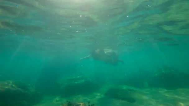 Plan lent d'une jeune femme et de son petit fils plongeant en apnée dans une mer — Video