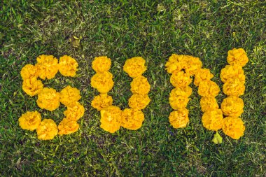 Güneşin çimenlerin üzerinde yazıt sarı çiçek yardımıyla.