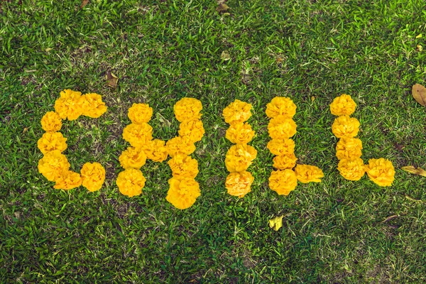 Надпись Охлаждается Траве Желтые Цветы — стоковое фото