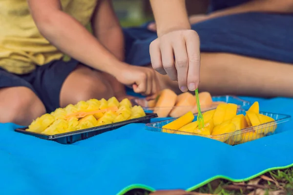 Anne Oğlu Parkta Piknik Sağlıklı Meyve Mango Ananas Kavun Yemek — Stok fotoğraf