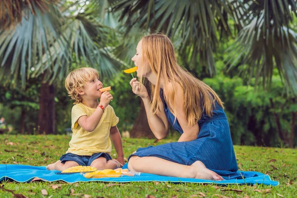 엄마와 아들이 공원에서 피크닉을 파인애플 먹는다 — 스톡 사진