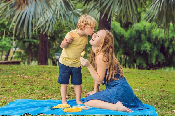 Mamma Figlio Che Fanno Picnic Nel Parco Mangia Frutta Sana — Foto Stock