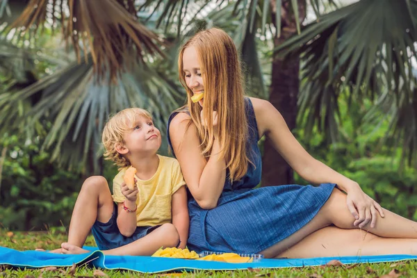 Mamma Figlio Che Fanno Picnic Nel Parco Mangia Frutta Sana — Foto Stock