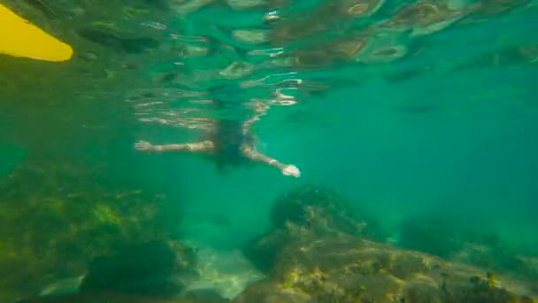 Zeitlupenaufnahme einer jungen Frau beim Schnorcheln im Meer mit einem tropischen Fisch vor sich — Stockvideo