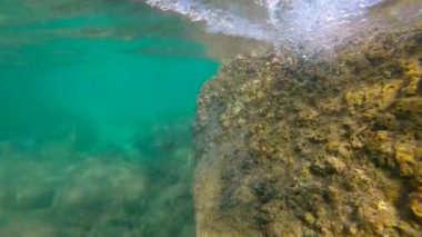 Bir tropikal balık bir denizde Yüzme fotoğrafını Slowmotion