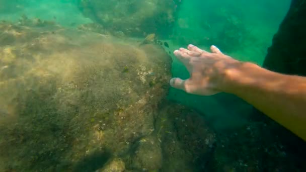 Slowmotion záběr mladého muže, šnorchlování a potápění ponořit do moře — Stock video