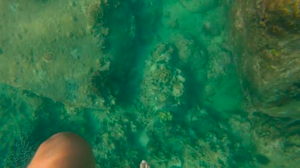 Tikje shot van een jonge man verplaatsen dat zijn benen in een zee zoals hij loopt op water — Stockvideo