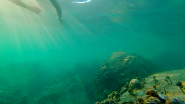 Scatto al rallentatore di un giovane uomo che fa snorkeling e tuffi in mare — Video Stock