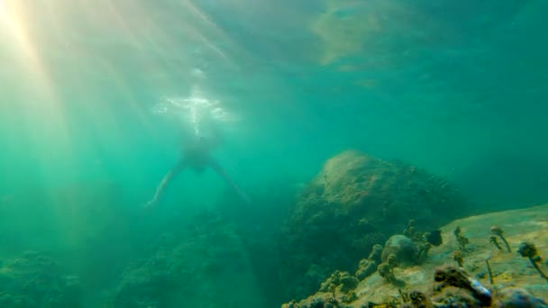 Slowmotion strzał młodego człowieka, nurkowanie i nurkowanie zanurzyć się w morzu — Wideo stockowe
