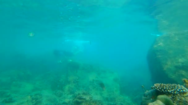 Denize Slowmotion atış genç bir adamın şnorkel ve dalış daldırma — Stok video