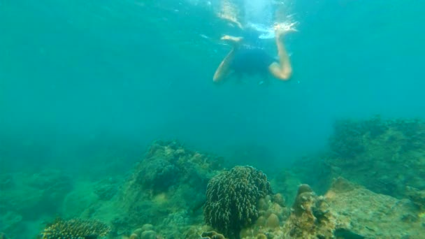 Slowmotion tiro de um jovem homem snorkeling e mergulho no mar — Vídeo de Stock