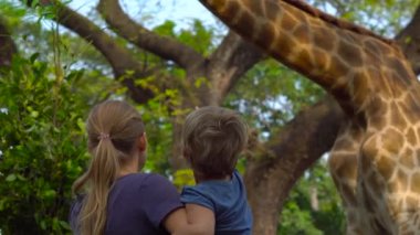 Mutlu anne ve izlemek ve hayvanat bahçesinde zürafa besleme oğlu. Mutlu aile ile hayvan safari Parkı'sıcak yaz gününde eğleniyor.