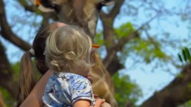 Mutlu anne ve izlemek ve hayvanat bahçesinde zürafa besleme oğlu. Mutlu aile ile hayvan safari Parkı'sıcak yaz gününde eğleniyor.