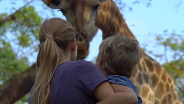 Mãe Filho Felizes Assistindo Alimentando Girafa Zoológico Família Feliz Divertindo — Vídeo de Stock