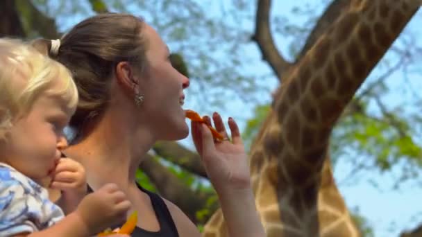 Mãe Filho Felizes Assistindo Alimentando Girafa Zoológico Família Feliz Divertindo — Vídeo de Stock