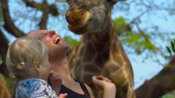 Glückliche Mutter Und Sohn Beobachten Und Füttern Giraffen Zoo Glückliche — Stockvideo