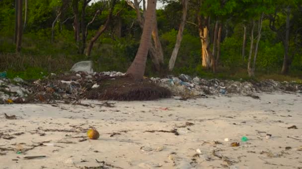 Slowmotion steadycam shot of a beach with fine white sand covered with garbage. Camera tilts up from a palm tree to asand with garbage — Stock Video