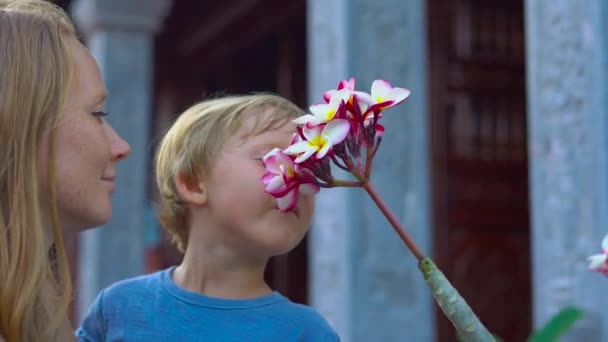 Mujer y su hijo huelen las flores de frangipani dentro de un templo budista Ho Quoc Pagoda en la isla de Phu Quoc, Vietnam — Vídeo de stock