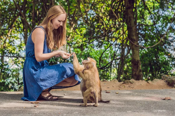 Young Woman Feeding Monkey Nuts Zoo — Stock Photo, Image