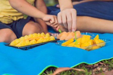 Anne ve oğlu Parkta piknik. Sağlıklı meyve - mango, ananas ve kavun yemek. Çocuk sağlıklı yemek yeme