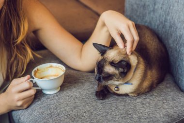 Kahve içme ve kedi okşayarak genç kadın