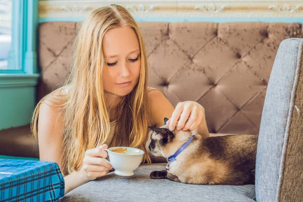 コーヒーを飲みながら 猫をなでる若い女性 — ストック写真