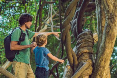 Baba ve oğul ıslak tropikal ormanlarda tropikal yaklaşık izlerken