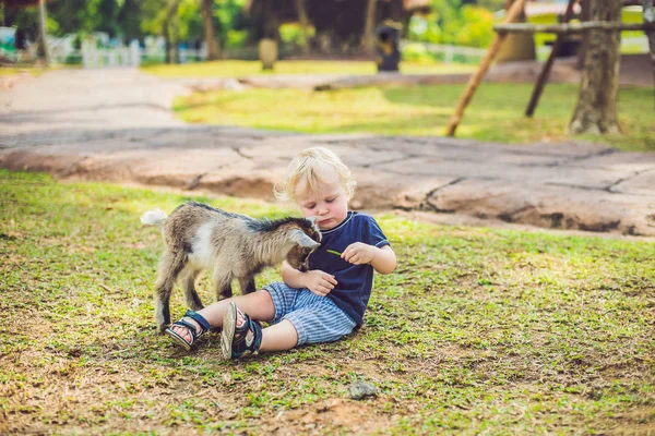 Petit garçon mignon nourrit une petite chèvre nouveau-née — Photo