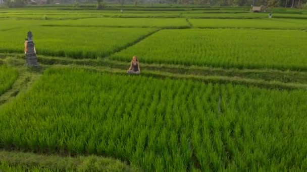 Tiro aéreo de uma mulher meditando em um maravilhoso campo de arroz durante o pôr-do-sol — Vídeo de Stock