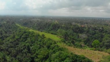 Ubud, Bali 'deki Campuhan Tepesi yürüyüşünün hava görüntüsü.