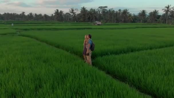 Luftaufnahme einer glücklichen Familie Touristen, die den Sonnenuntergang auf einem wunderschönen Reisfeld. Reise nach Asien. Anreise zum bali concept — Stockvideo