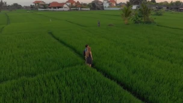 一个快乐的家庭游客在一个神奇的稻田里与日落相遇的空中镜头。 旅行到亚洲的概念。 前往巴厘的旅行概念 — 图库视频影像