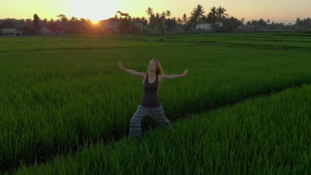 Tiro aéreo de uma mulher praticando ioga em um maravilhoso campo de arroz durante o nascer do sol — Vídeo de Stock