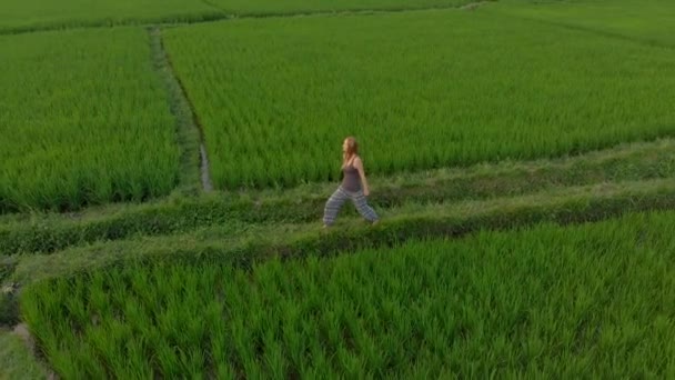 Tiro aéreo de uma mulher praticando ioga em um maravilhoso campo de arroz durante o nascer do sol — Vídeo de Stock