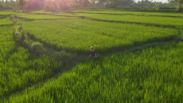 Tiro aéreo de um menino meditando em um maravilhoso campo de arroz durante o nascer-do-sol — Vídeo de Stock
