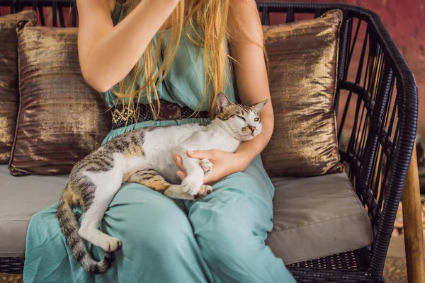 Молодая женщина завтракает в средиземноморском стиле, сидя на диване со своим котом — стоковое фото