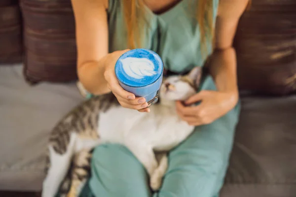 Молодая женщина, завтракающая в средиземноморском стиле, сидит на диване и со своим котом и пьет модный напиток: синий латте. Горячий латте с горохом или голубой спирулиновый латте — стоковое фото