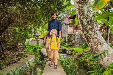 Baba ve oğul turistler Bali 'de Ubud' un dar ve rahat sokakları boyunca yürüyorlar. Bali popüler bir turizm merkezidir. Bali 'ye seyahat. Çocuk konseptiyle seyahat etmek