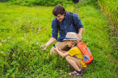 Baba ve oğlu bitkileri akıllı telefondan tanımlıyor. Artırılmış gerçeklik