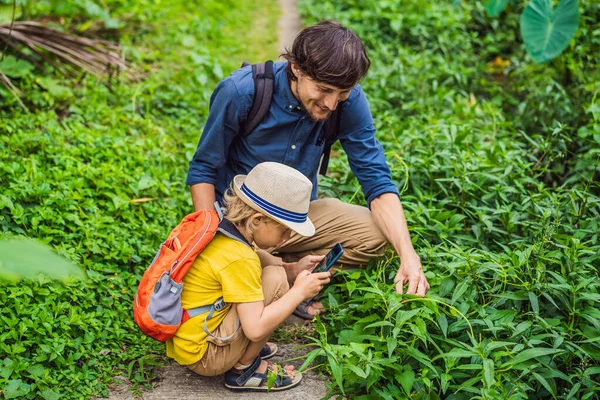 Pai e filho identificam plantas usando o aplicativo em um smartphone. realidade aumentada — Fotografia de Stock