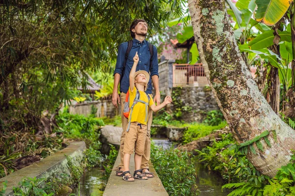 Pai e filho turistas em Bali caminha ao longo das ruas aconchegantes estreitas de Ubud. Bali é um destino turístico popular. Viaje ao conceito de Bali. Viajar com conceito de crianças — Fotografia de Stock