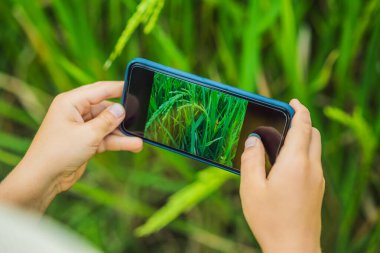 Baba ve oğlu bitkileri akıllı telefondan tanımlıyor. Artırılmış gerçeklik