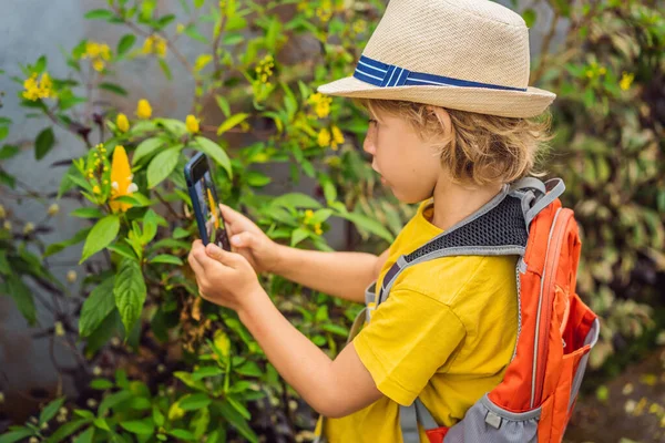 Rapaz identificar plantas usando o aplicativo em um smartphone. realidade aumentada — Fotografia de Stock